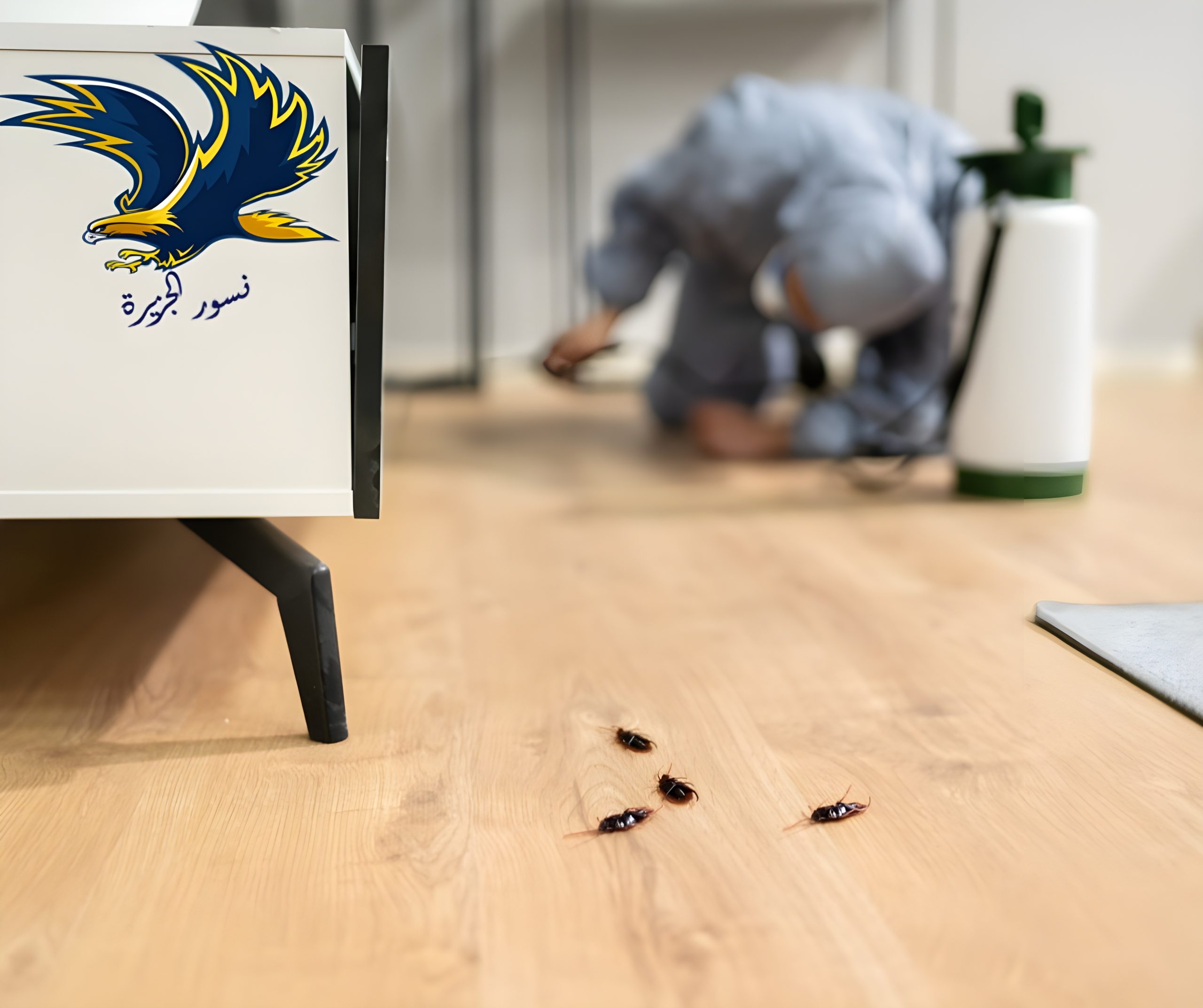 شركة مكافحة حشرات بالدمام