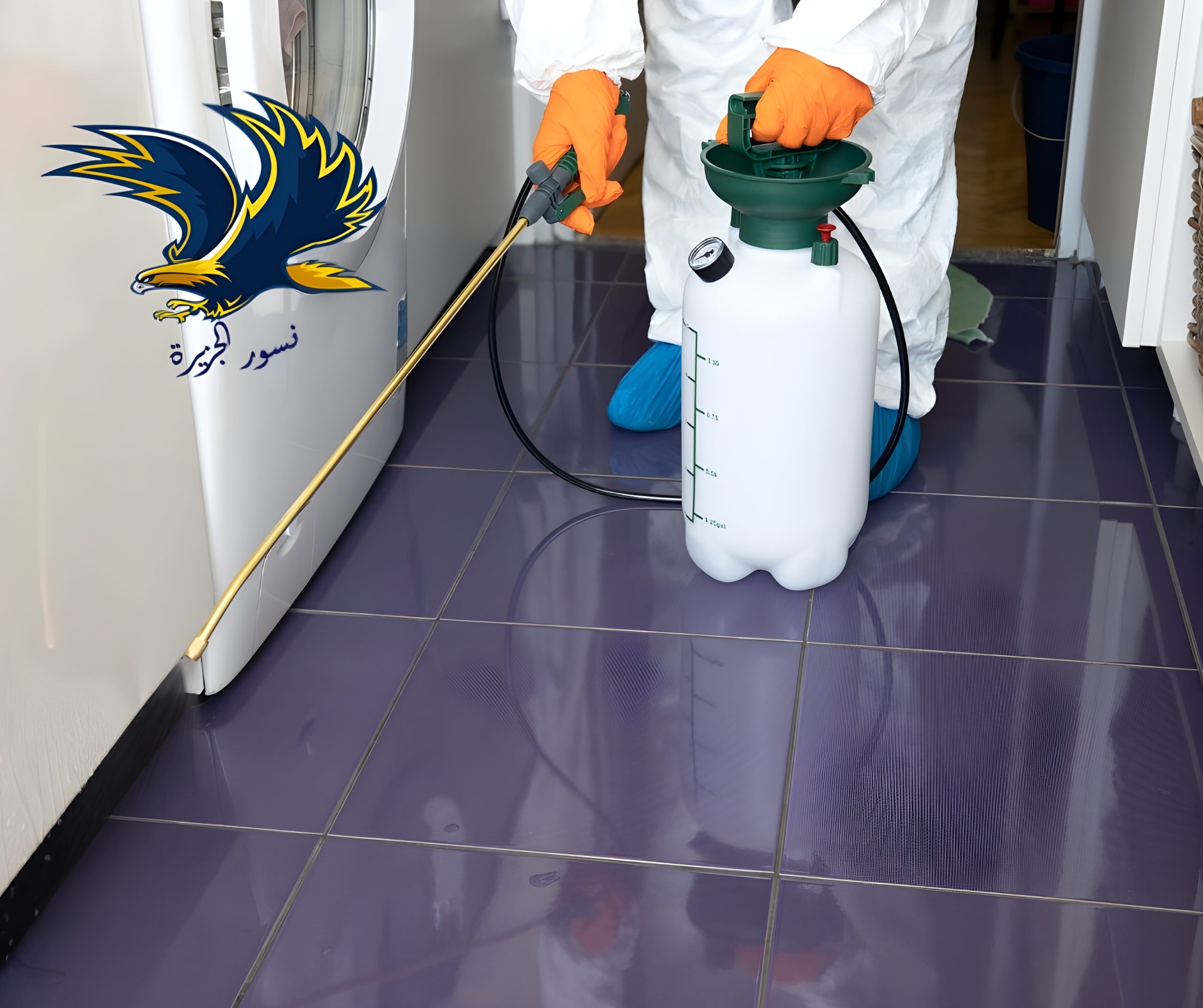 شركة مكافحة حشرات بالدمام