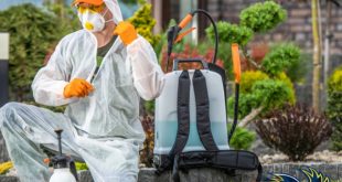 شركة مكافحة حشرات بالخبر