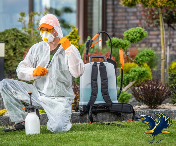 شركة مكافحة حشرات بالخبر