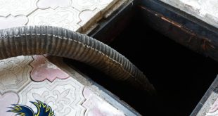 شركة شفط بيارات بالدمام