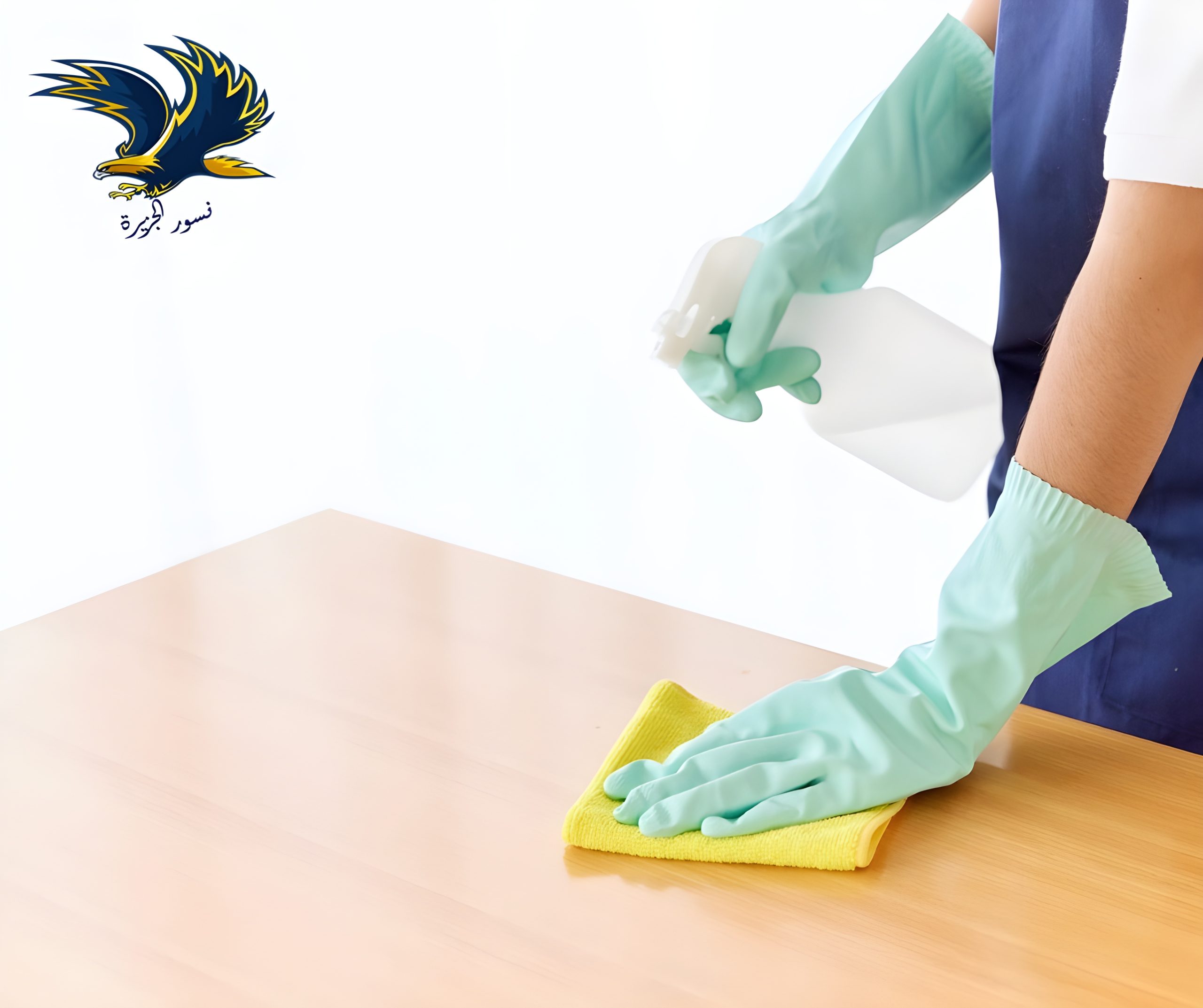 شركة تنظيف بالقطيف