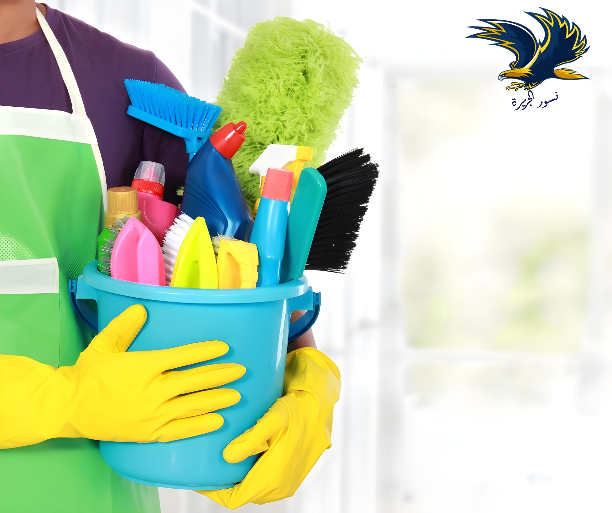 شركة تنظيف بالقطيف