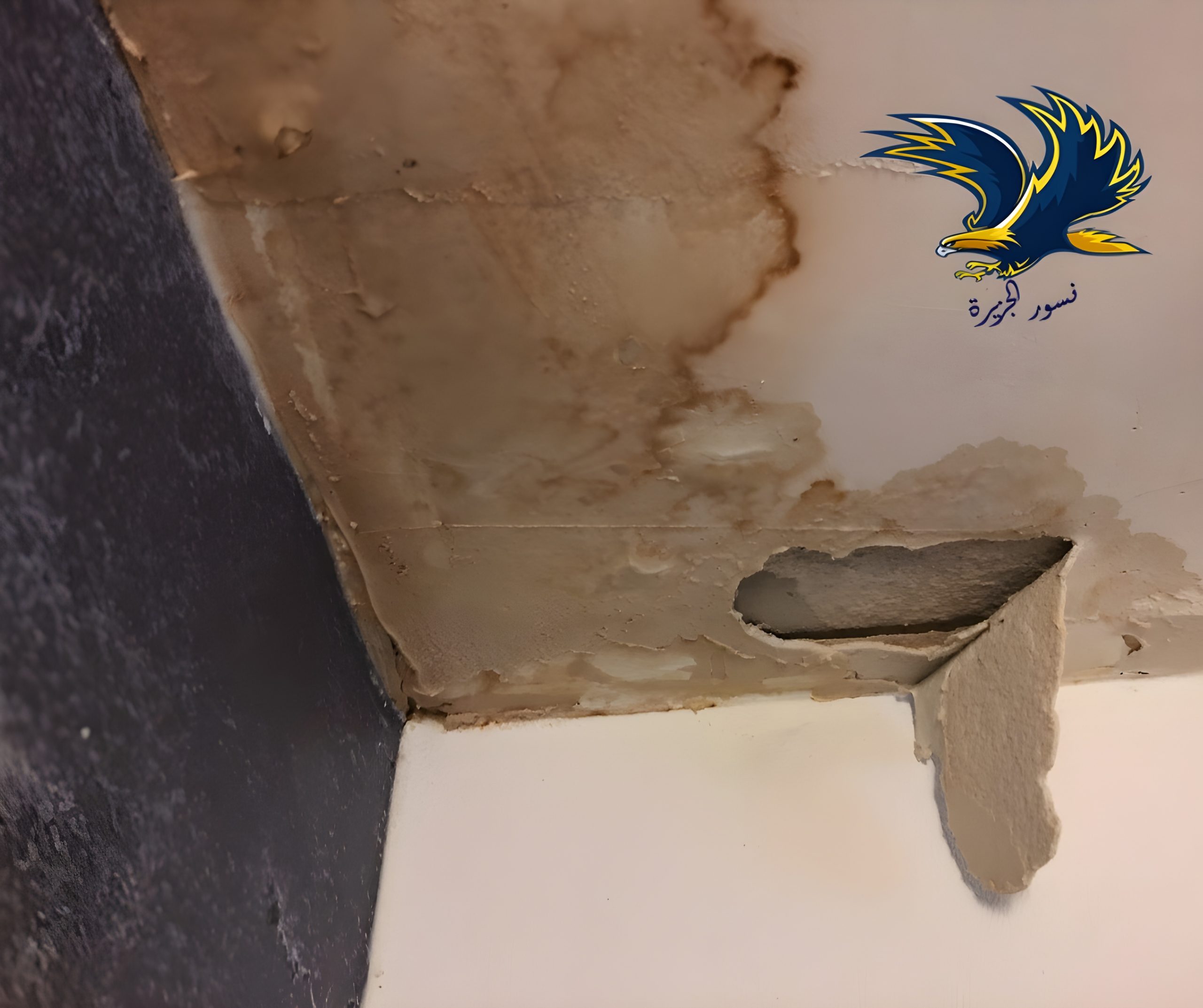 شركة كشف تسربات بالخبر